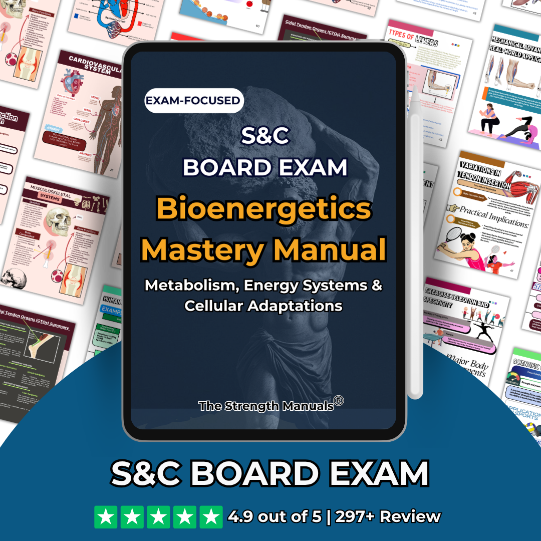 The Bioenergetics Mastery Manual: Metabolism, Energy Systems & Cellular Adaptations