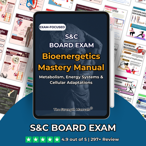 The Bioenergetics Mastery Manual: Metabolism, Energy Systems & Cellular Adaptations